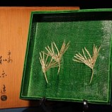 700川崎和樂 青樂若松